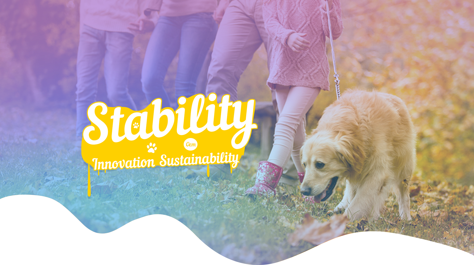 Chaotai Pet Products