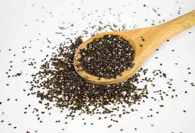 Superfoods for Cats and Dogs: Chia Seeds