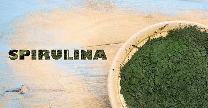 Spirulina-A super food for dog!