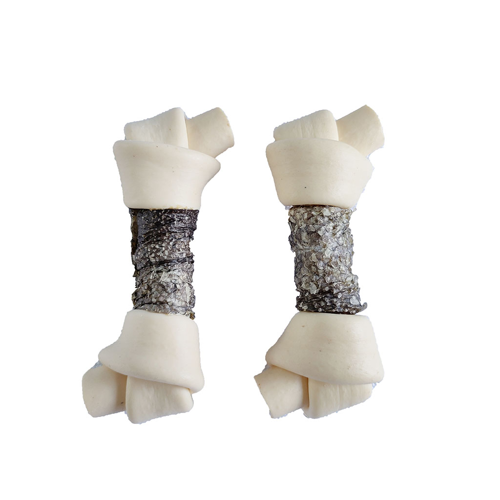 Fish with dental knotted bone