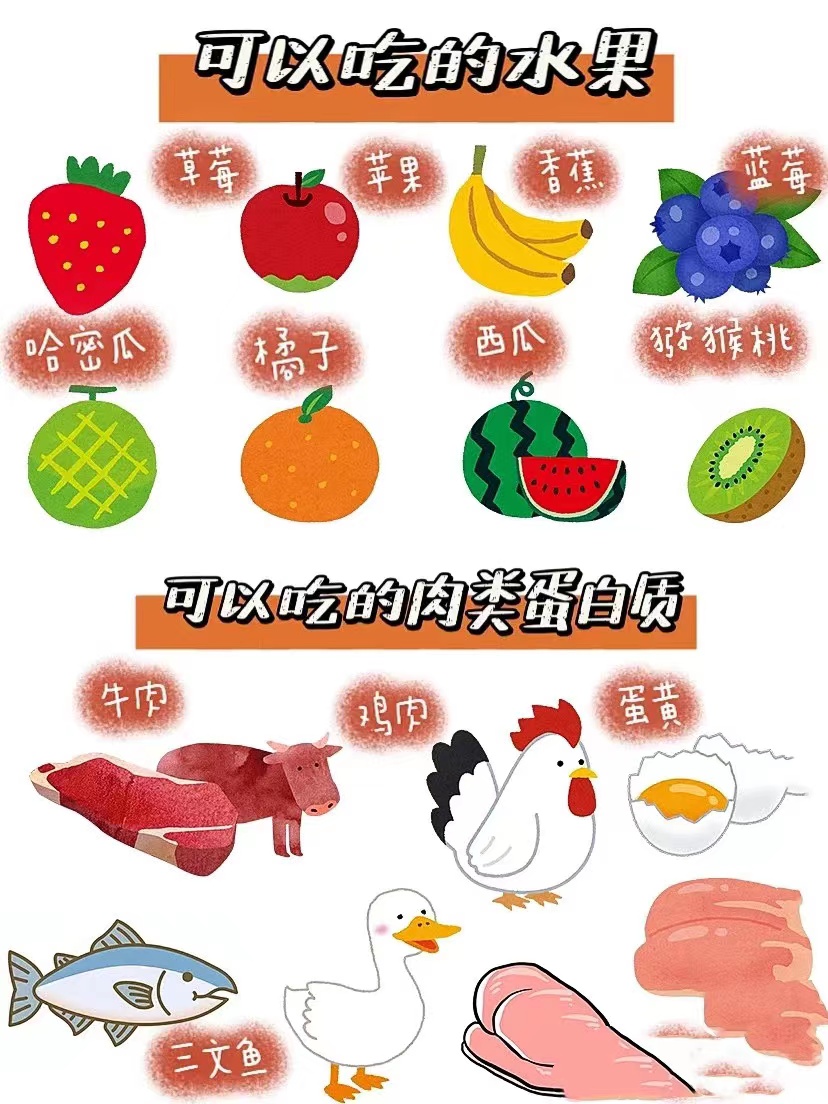 What Nutrition Would We Recommand For Your Pet ?