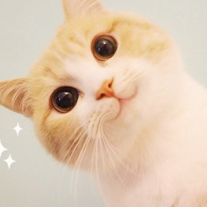 Why Do Many People Think Cats Are "Naturally Indifferent"?