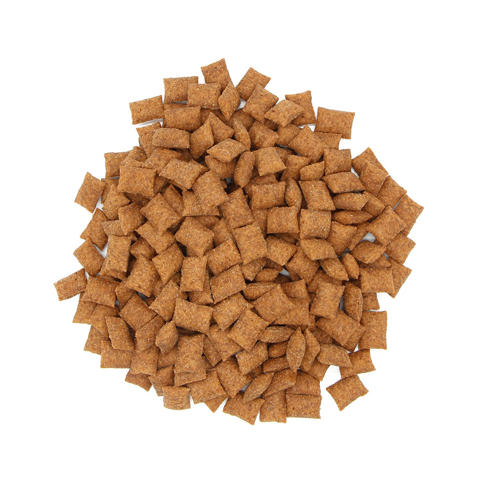 Crunchy Cat Treats-Salmon